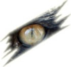<a href="https://www.kissel-wolf.com/vertriebspartner?tx_ttaddress_listview%5Baction%5D=show&amp;tx_ttaddress_listview%5Baddress%5D=33&amp;tx_ttaddress_listview%5Bcontroller%5D=Address&amp;cHash=cd97932f0c1e70a677d0c415a823d031">P.H. Ara</a>